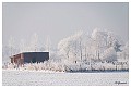 Sneeuwlandschap De Bauwelkens 2